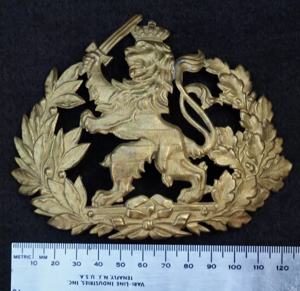 Hessen Enlisted Man Pickelhaube Frontplate Visuel 1 principal